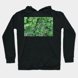 Nature's Design Hoodie